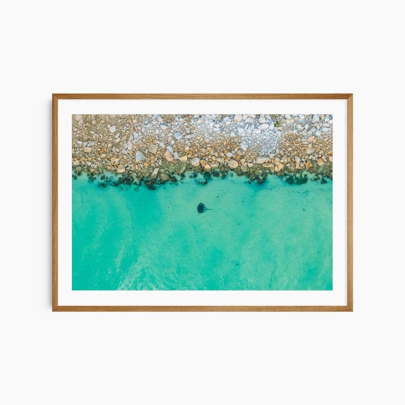 "Wagonga Ray" Photography Print - Belinda Doyle - Australian Photographer & Resin Artist