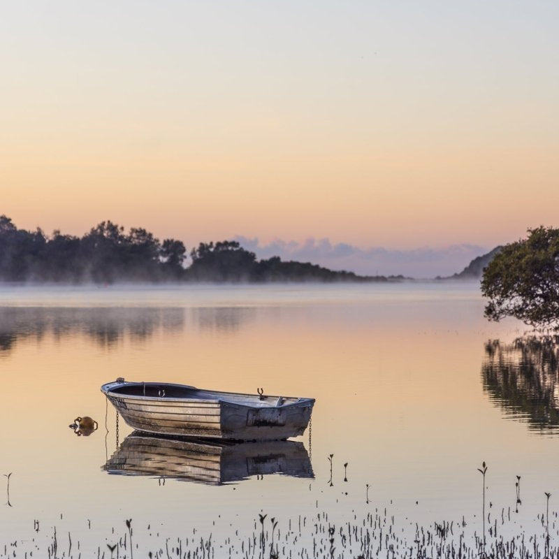 "Whispers of Morning" (P) Photography Print - Belinda Doyle - Australian Photographer & Resin Artist