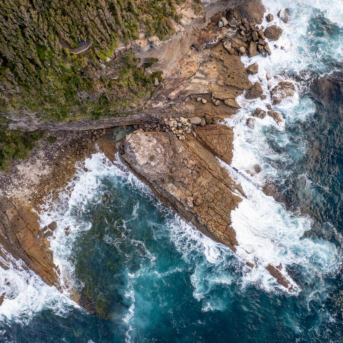 "Wild at the Edge" Photography Print - Belinda Doyle - Australian Photographer & Resin Artist