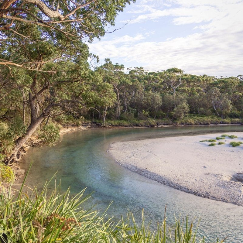 "Wowly Greens" Photography Print - Belinda Doyle - Australian Photographer & Resin Artist