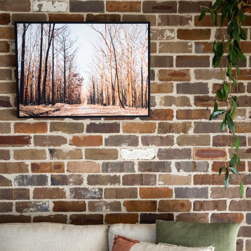 "Mount Agony Road" Photography Print - Belinda Doyle - Australian Photographer & Resin Artist