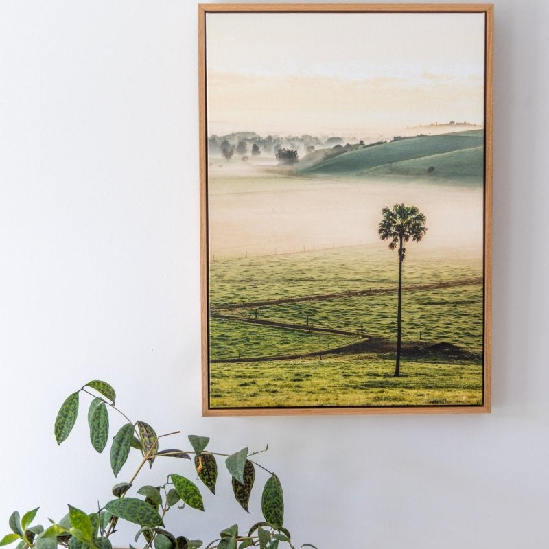 "Swamp Fog" Photography Print - Belinda Doyle - Australian Photographer & Resin Artist