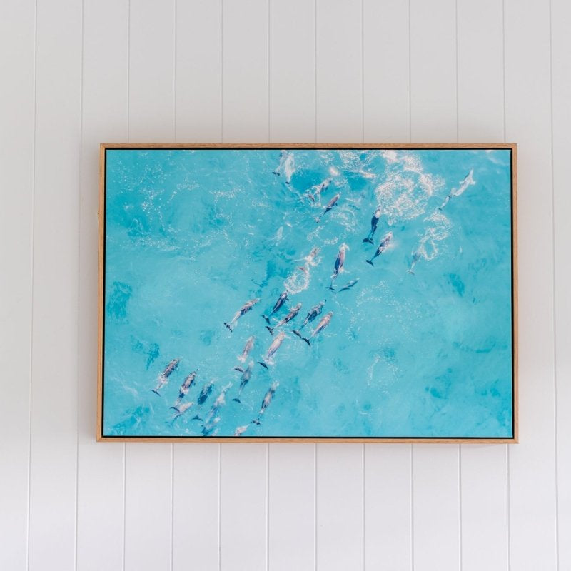 "Playful Pod" Dolphin Photography Print - Belinda Doyle - Australian Photographer & Resin Artist