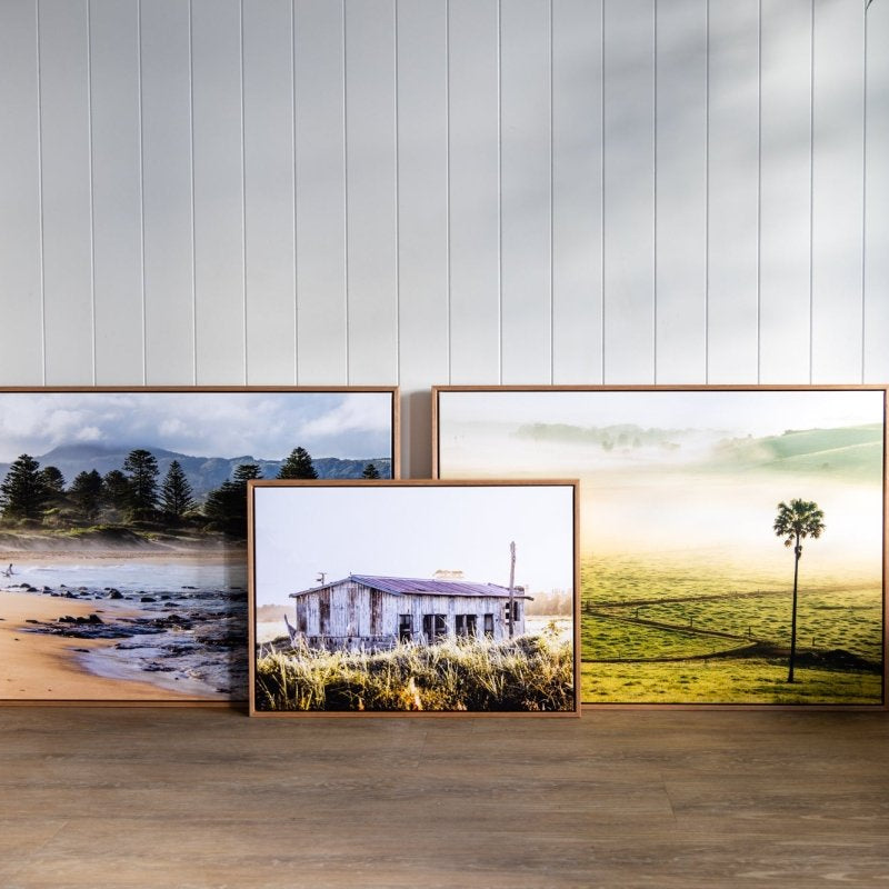 "Swamp Fog LS" Photography Print - Belinda Doyle - Australian Photographer & Resin Artist