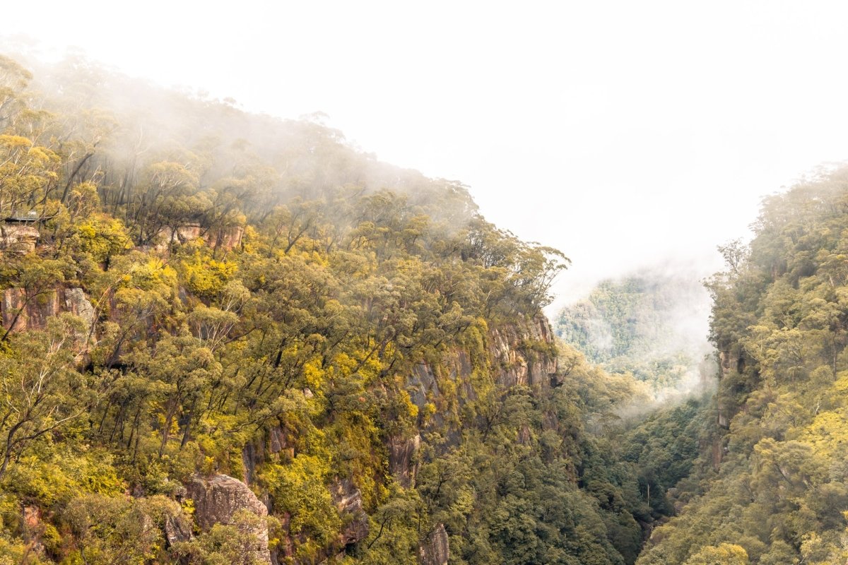 "Acacia Views" Photography Print - Belinda Doyle - Australian Photographer & Resin Artist