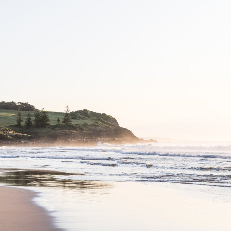 "August at Jones II" Photography Print - Belinda Doyle - Australian Photographer & Resin Artist