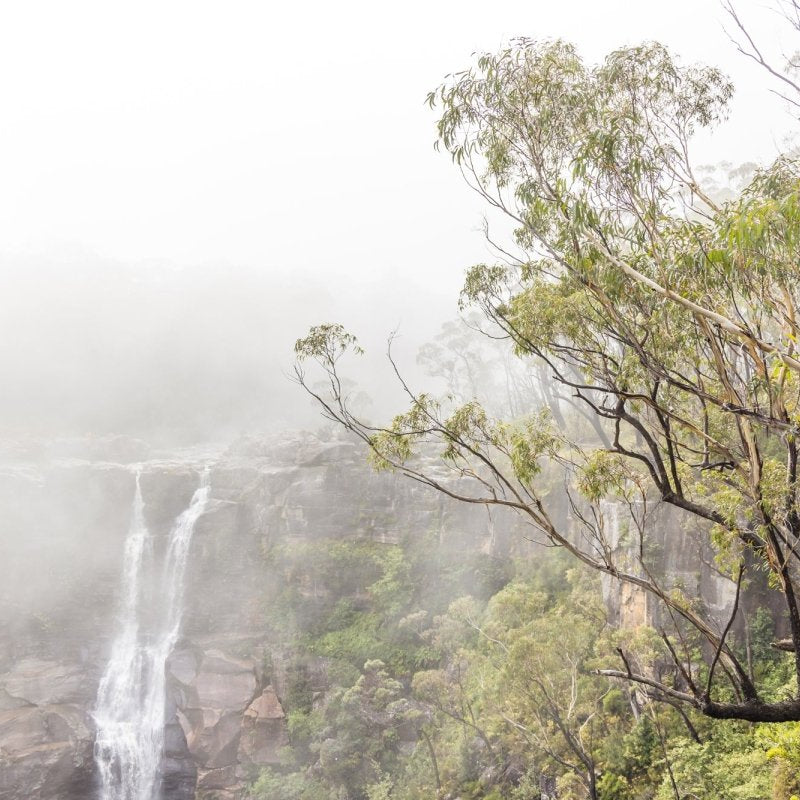 "August Mist" Photography Print - Belinda Doyle - Australian Photographer & Resin Artist
