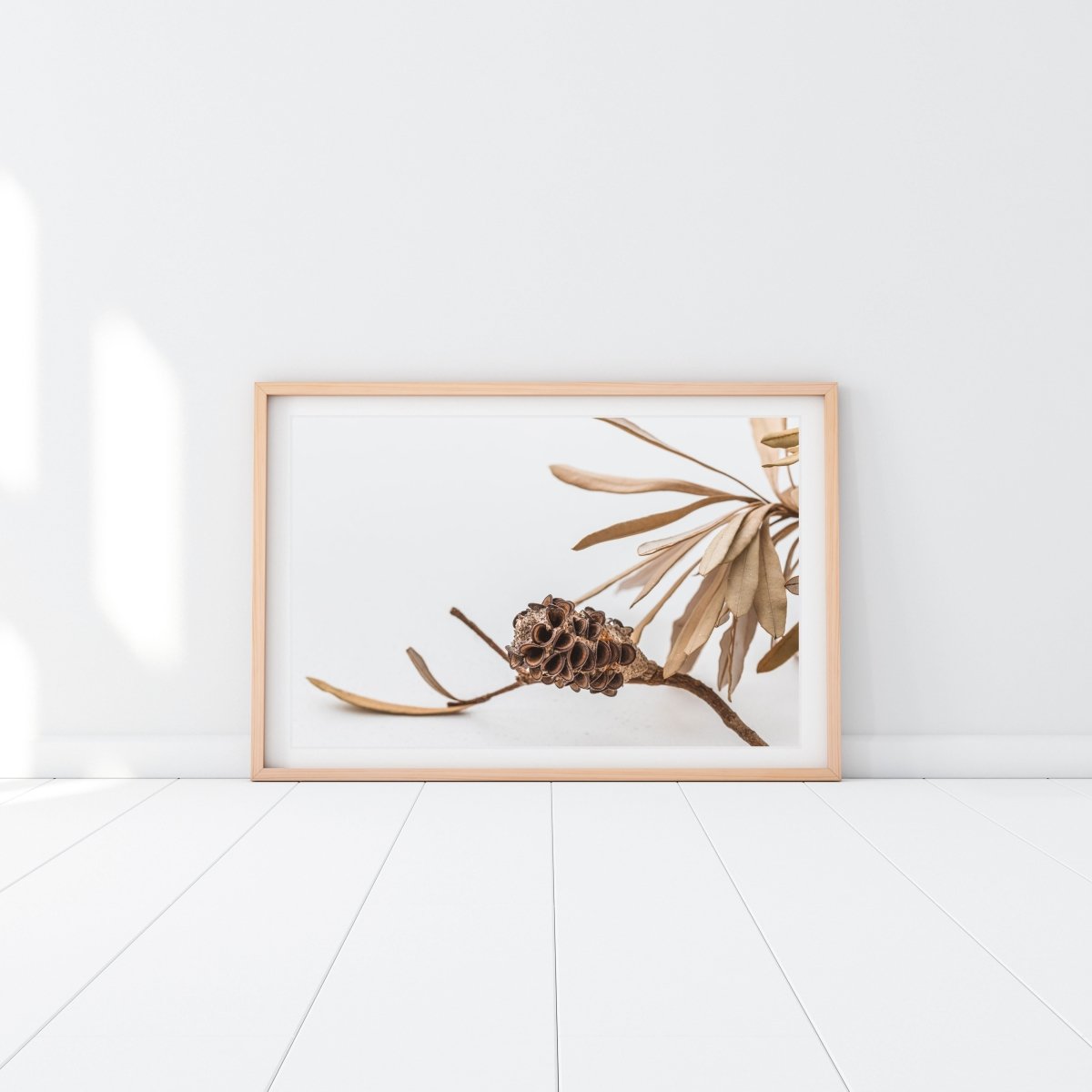 "Banksia Crunch" Photography Print - Belinda Doyle - Resin Artist & South Coast Photographer
