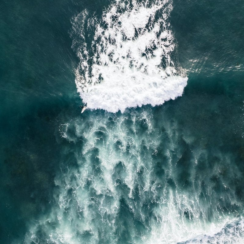 "Bass Point Solo" Photography Print - Belinda Doyle - Australian Photographer & Resin Artist