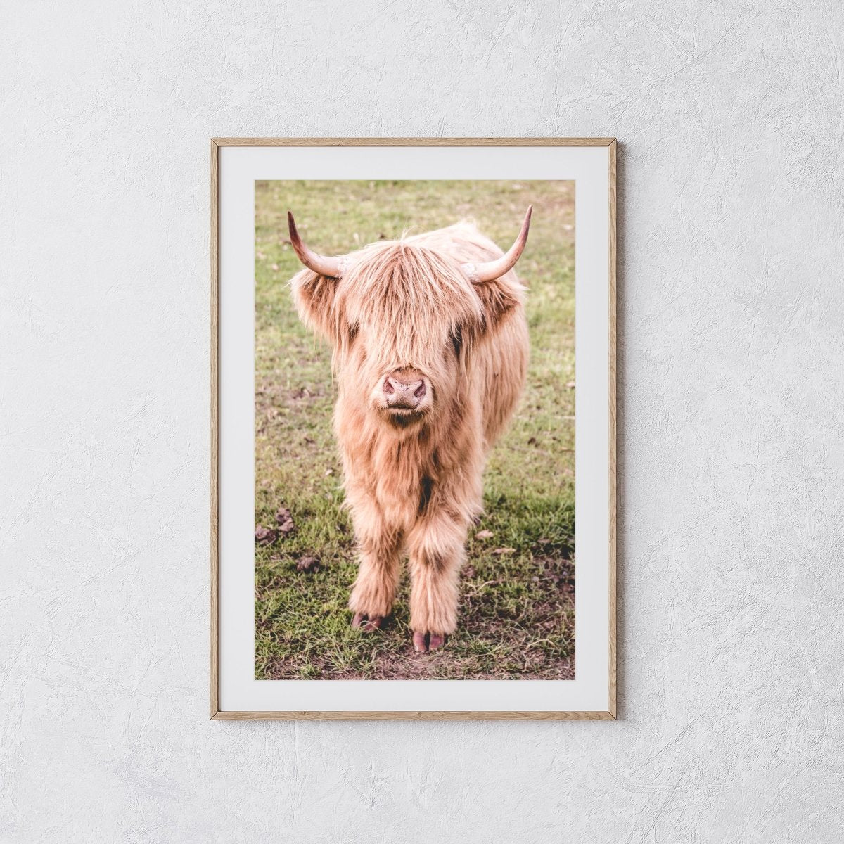 "Billy" Photography Print - Belinda Doyle - Resin Artist & South Coast Photographer