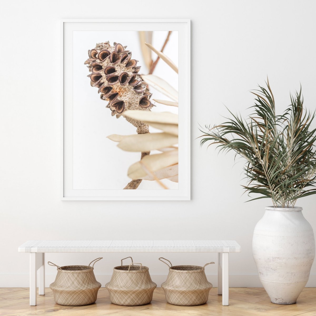 "Bleached Banksia II" Photography Print - Belinda Doyle - Resin Artist & South Coast Photographer
