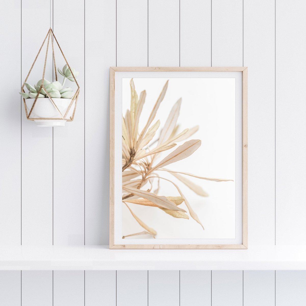 "Bleached Banksia" Photography Print - Belinda Doyle - Resin Artist & South Coast Photographer