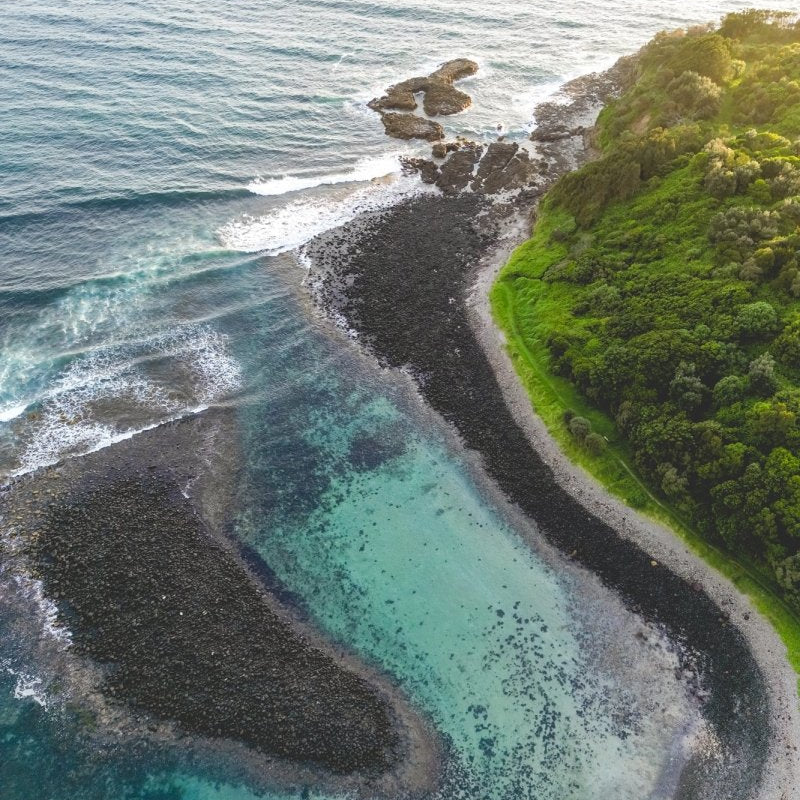 "Boneyard Curl" Photography Print - Belinda Doyle - Australian Photographer & Resin Artist