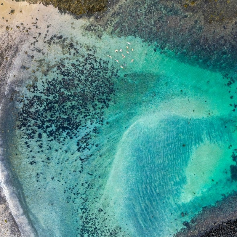 "Boneyard Synchro" Photography Print - Belinda Doyle - Australian Photographer & Resin Artist