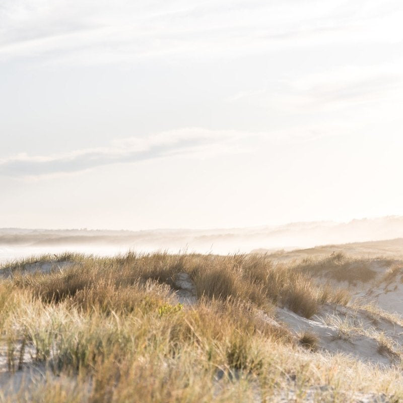 "Buckleys Haze" (P) Photography Print - Belinda Doyle - Australian Photographer & Resin Artist