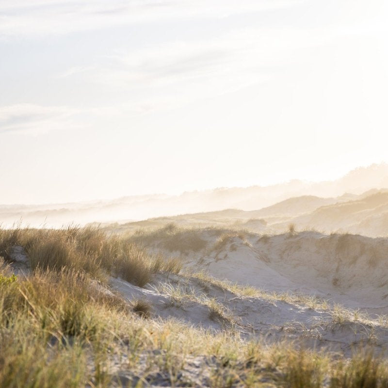 "Buckleys Haze" Photography Print - Belinda Doyle - Australian Photographer & Resin Artist