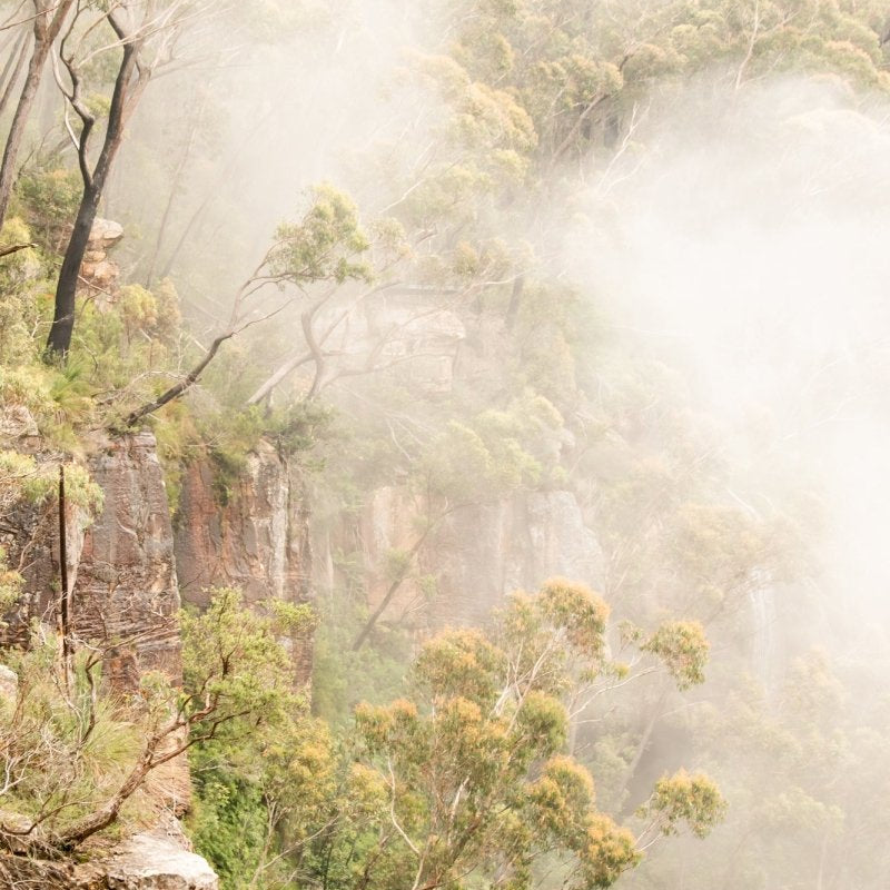 "Budderoo Breathe" Photography Print - Belinda Doyle - Resin Artist & South Coast Photographer