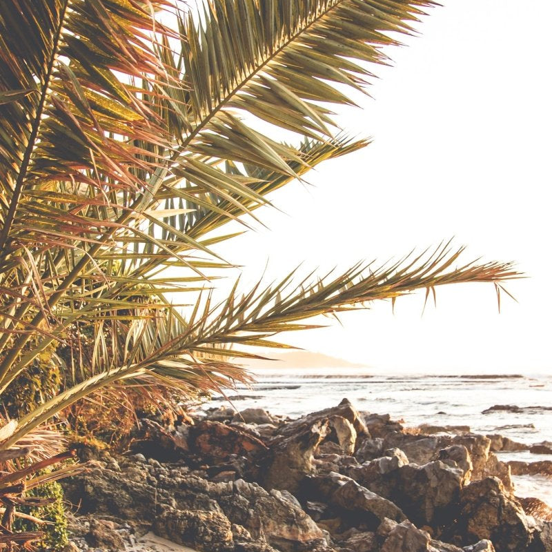 "Burleigh Way" (P) Photography Print - Belinda Doyle - Resin Artist & South Coast Photographer