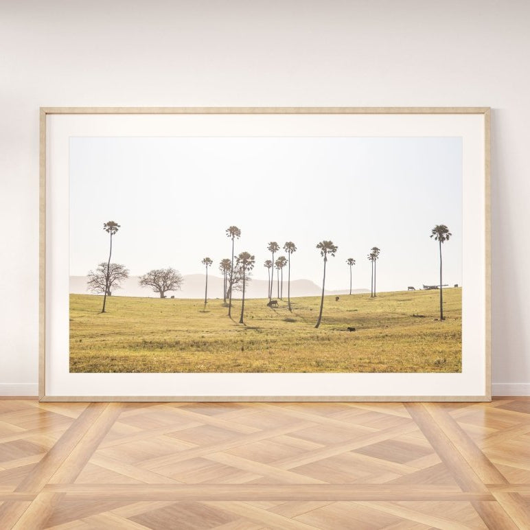 "Cali-Roo" Photography Print - Belinda Doyle - Resin Artist & South Coast Photographer