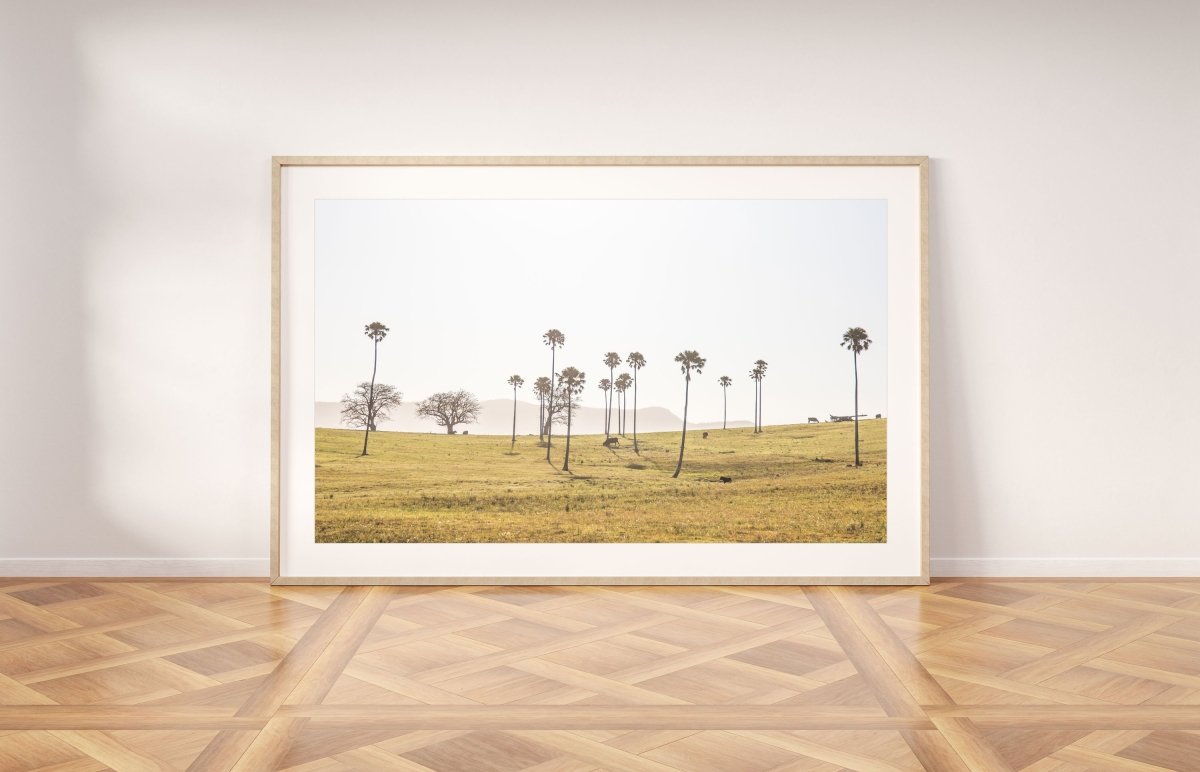 "Cali-Roo" Photography Print - Belinda Doyle - Resin Artist & South Coast Photographer