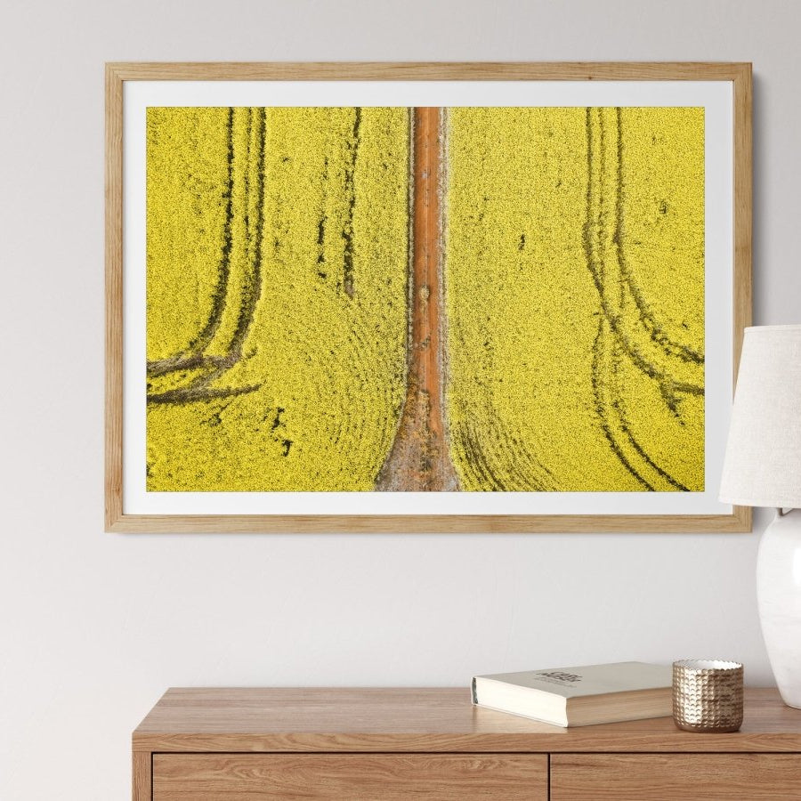 "Canola Course" Photography Print - Belinda Doyle - Australian Photographer & Resin Artist