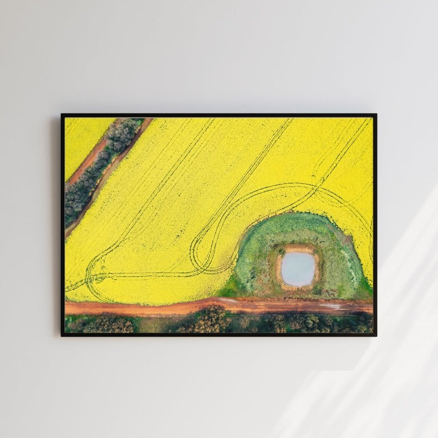 "Canola Way" Photography Print - Belinda Doyle - Australian Photographer & Resin Artist