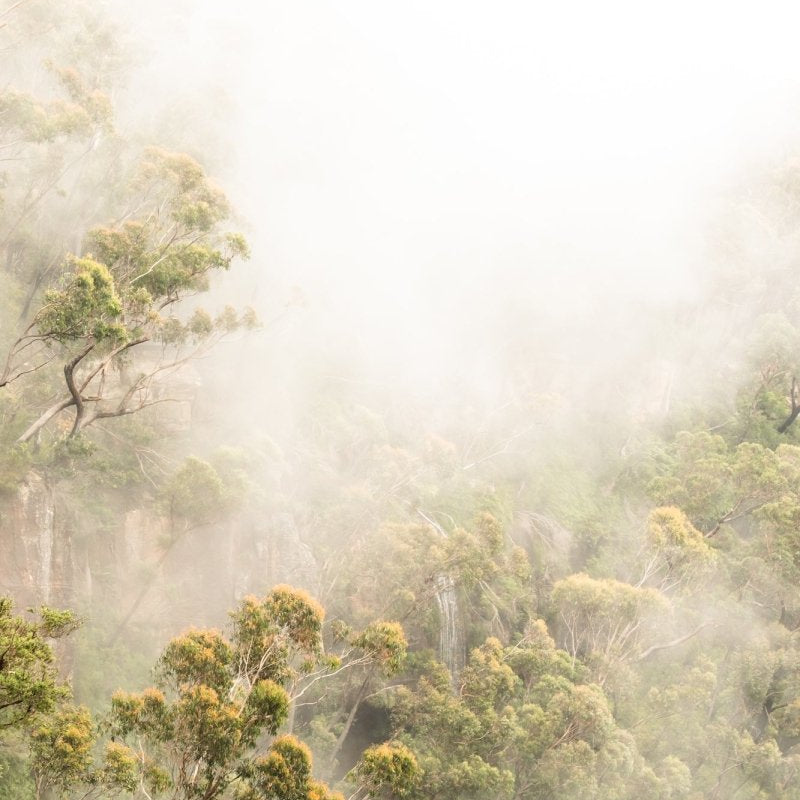 "Carrington Mist" Photography Print - Belinda Doyle - Resin Artist & South Coast Photographer