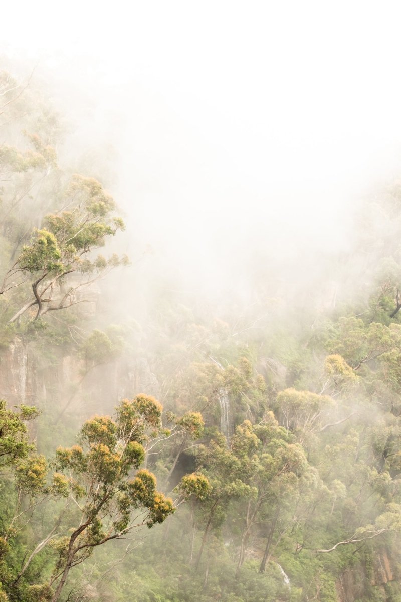 "Carrington Mist" Photography Print - Belinda Doyle - Resin Artist & South Coast Photographer