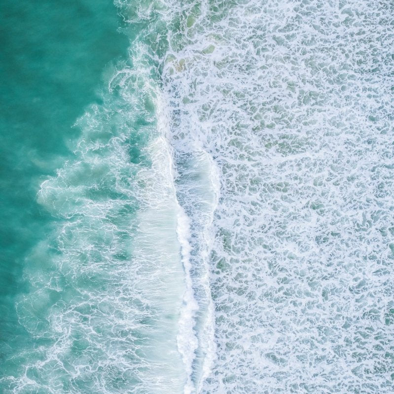 "Coastal Fringe" Photography Print - Belinda Doyle - Australian Photographer & Resin Artist