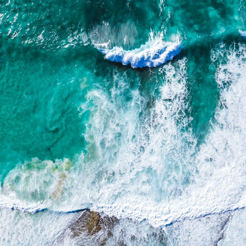 "Crush" Photography Print - Belinda Doyle - Australian Photographer & Resin Artist