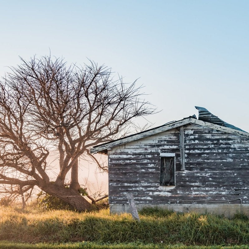 "Curb Appeal" Photography Print - Belinda Doyle - Resin Artist & South Coast Photographer