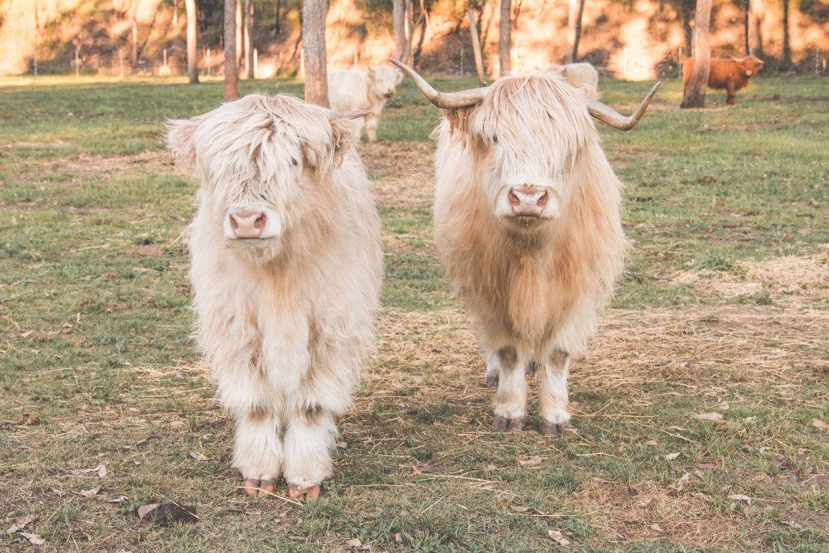 "Dallin & Finlay" Photography Print - Belinda Doyle - Resin Artist & South Coast Photographer