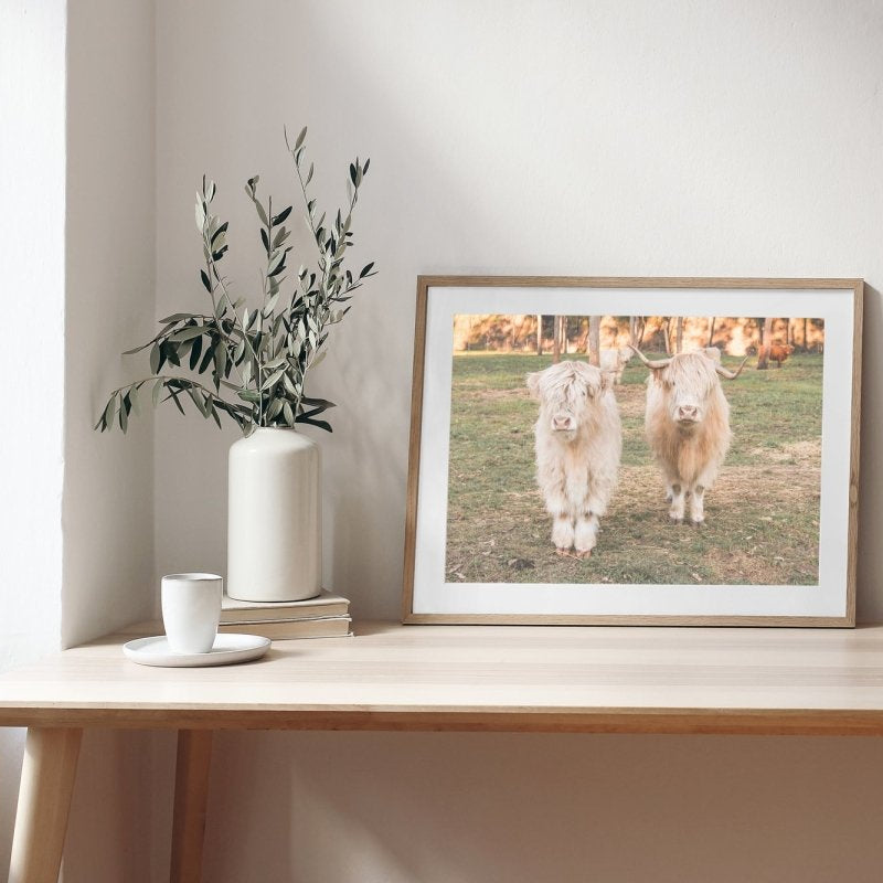"Dallin & Finlay" Photography Print - Belinda Doyle - Resin Artist & South Coast Photographer