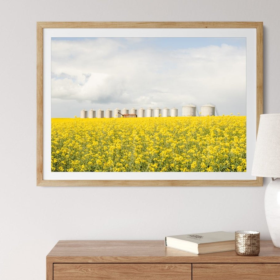 "Dorothy" LS Photography Print - Belinda Doyle - Australian Photographer & Resin Artist