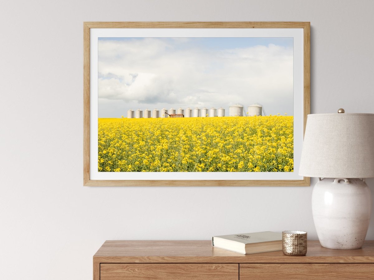 "Dorothy" LS Photography Print - Belinda Doyle - Australian Photographer & Resin Artist