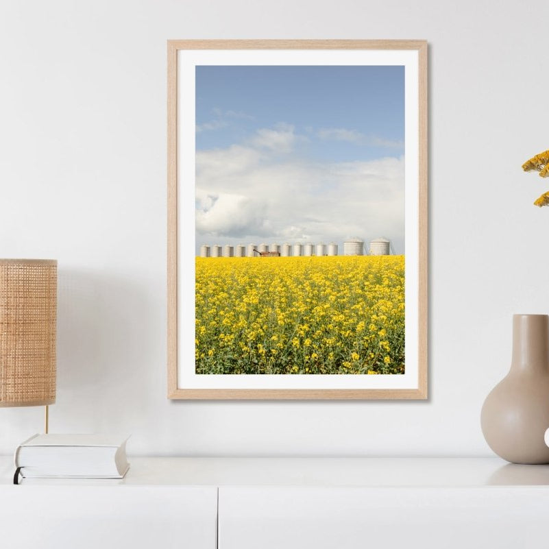 "Dorothy" Photography Print - Belinda Doyle - Australian Photographer & Resin Artist