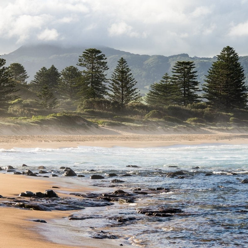 "Eager" Photography Print - Belinda Doyle - Resin Artist & South Coast Photographer