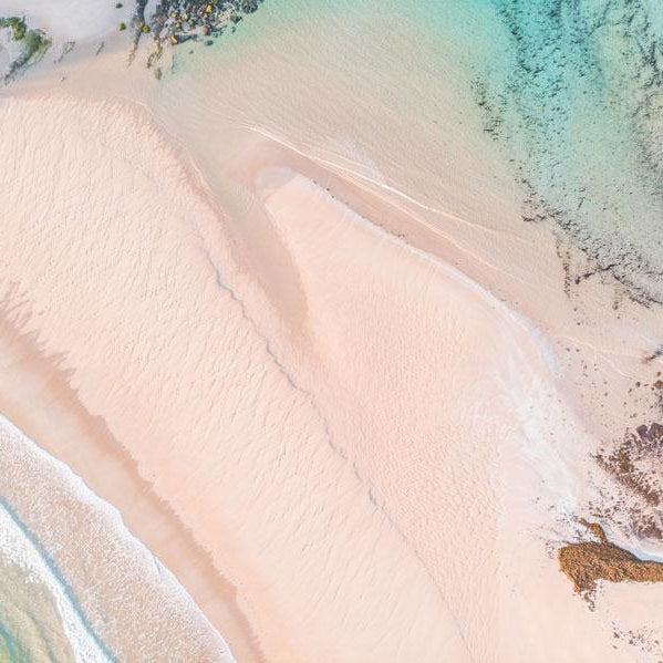 "Elevated Tangle LS" Photography Print - Belinda Doyle - Resin Artist & South Coast Photographer