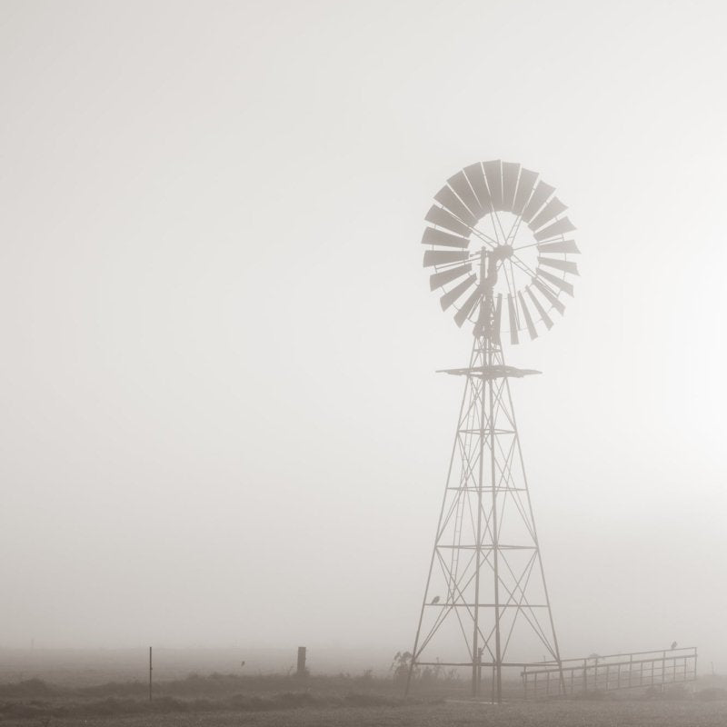 "Face the Wind" (P) Photography Print - Belinda Doyle - Australian Photographer & Resin Artist