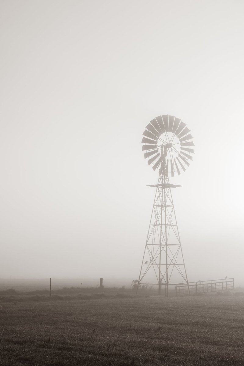 "Face the Wind" (P) Photography Print - Belinda Doyle - Australian Photographer & Resin Artist