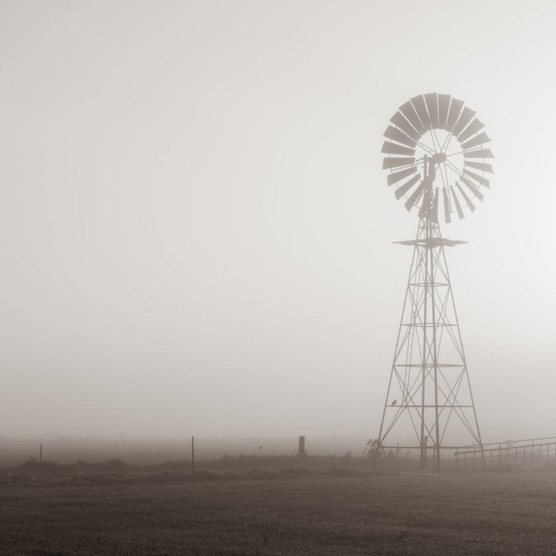 "Face the Wind" Photography Print - Belinda Doyle - Australian Photographer & Resin Artist