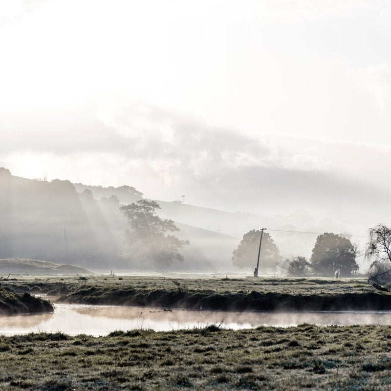 "Factory Lane" Photography Print - Belinda Doyle - Australian Photographer & Resin Artist