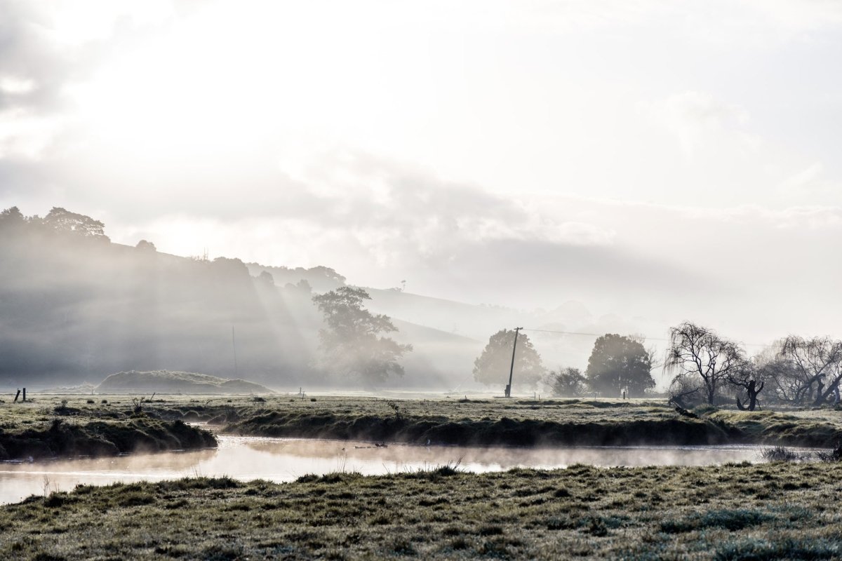 "Factory Lane" Photography Print - Belinda Doyle - Australian Photographer & Resin Artist