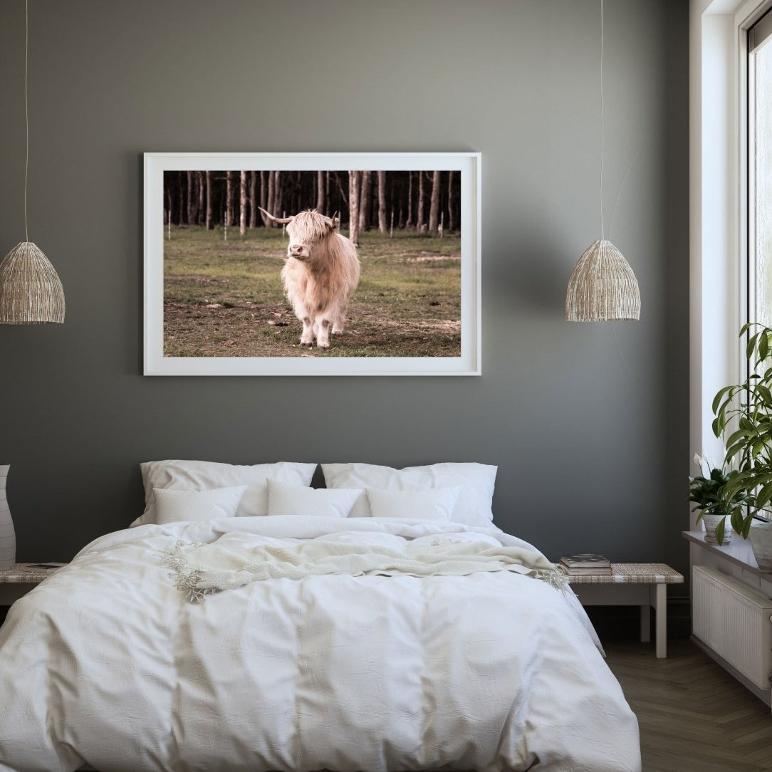 "Finlay" Photography Print - Belinda Doyle - Resin Artist & South Coast Photographer