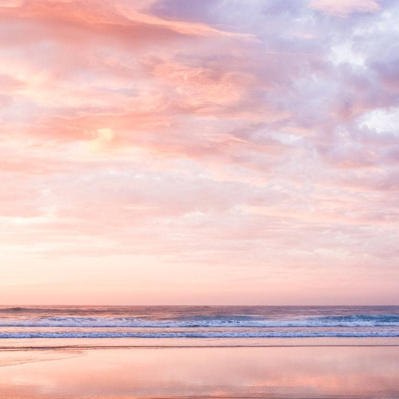 "First Blush" Photography Print - Belinda Doyle - Resin Artist & South Coast Photographer