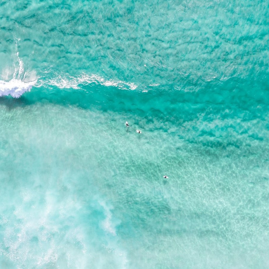 "Fresh Clarity" Photography Print - Belinda Doyle - Resin Artist & South Coast Photographer