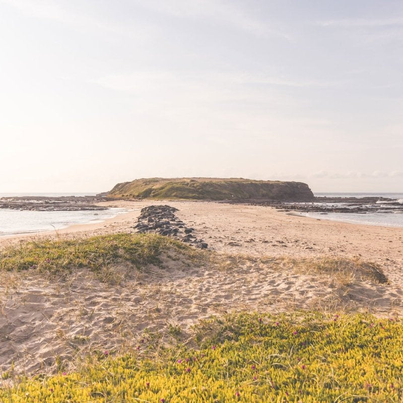 "Golden Morning" Photography Print - Belinda Doyle - Australian Photographer & Resin Artist