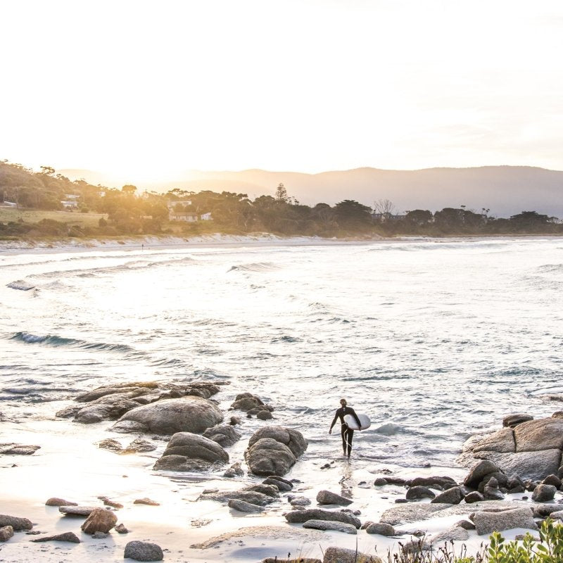 "Golden Redbill" Photography Print - Belinda Doyle - Australian Photographer & Resin Artist