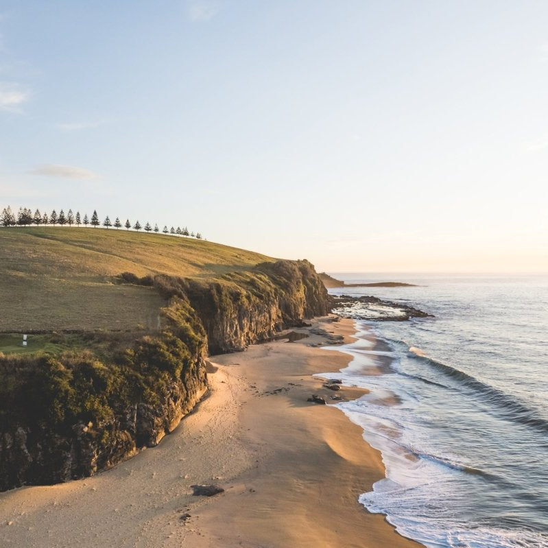 "Golden Walkers" Photography Print - Belinda Doyle - Australian Photographer & Resin Artist