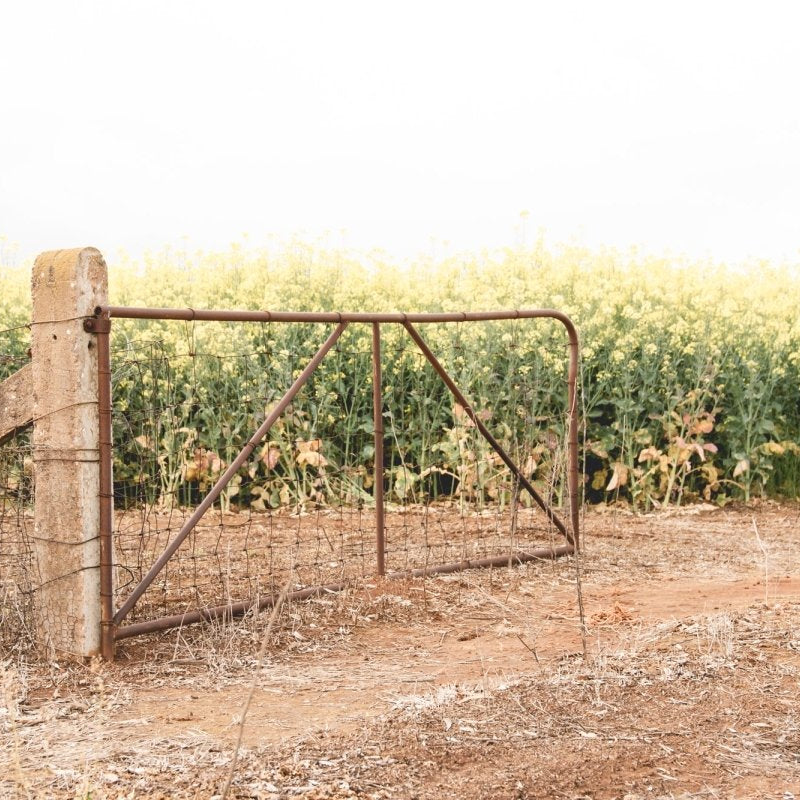 "Goldfields Gate" Photography Print - Belinda Doyle - Australian Photographer & Resin Artist